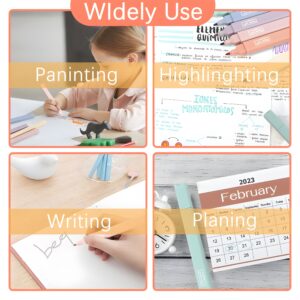 Pastel Dual Tip Highlighter Set – Soft Color Marker Pens (Pack of 12)